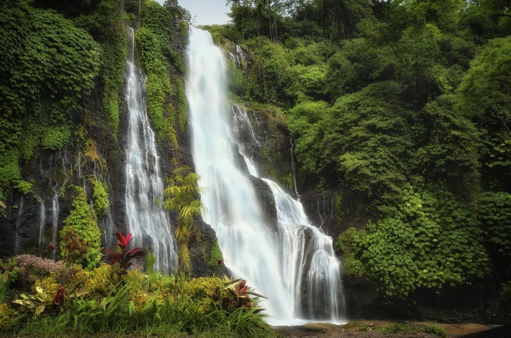 Фотография автора Юлия Широкова