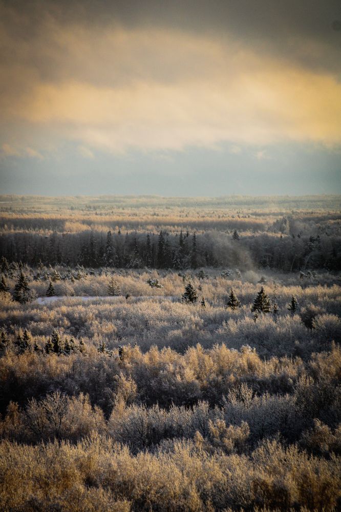 Photograph by hobbit