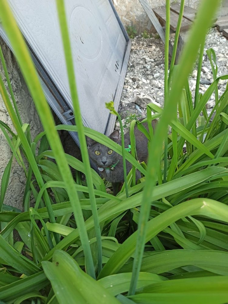 Photograph by Александр Федичкин