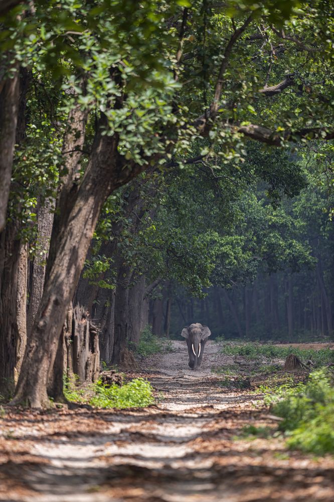 Photograph by Jitender Govindani