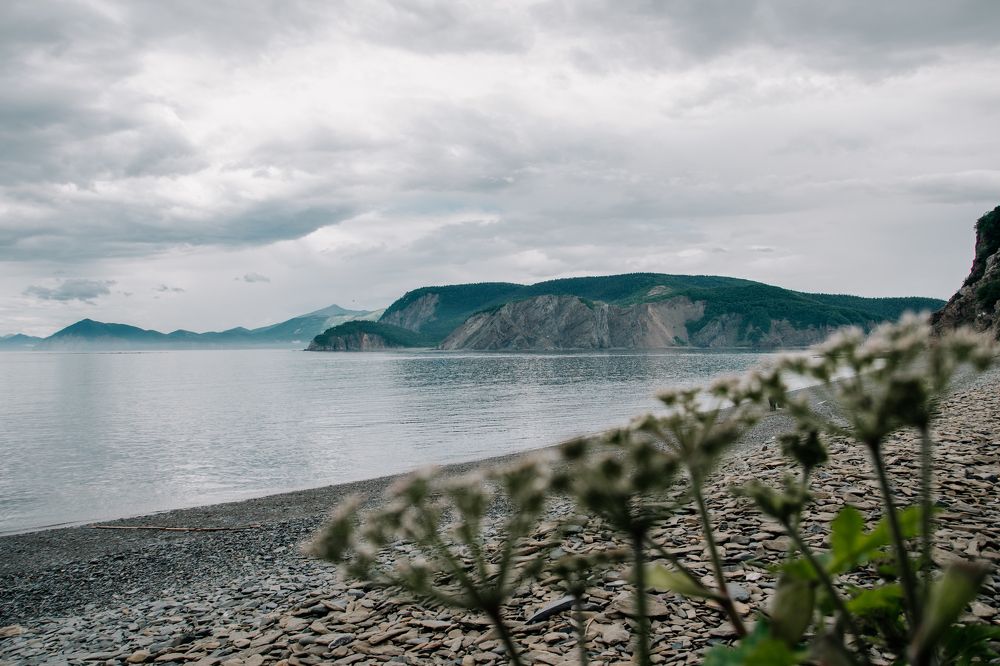 Photograph by Астафьева Ирина