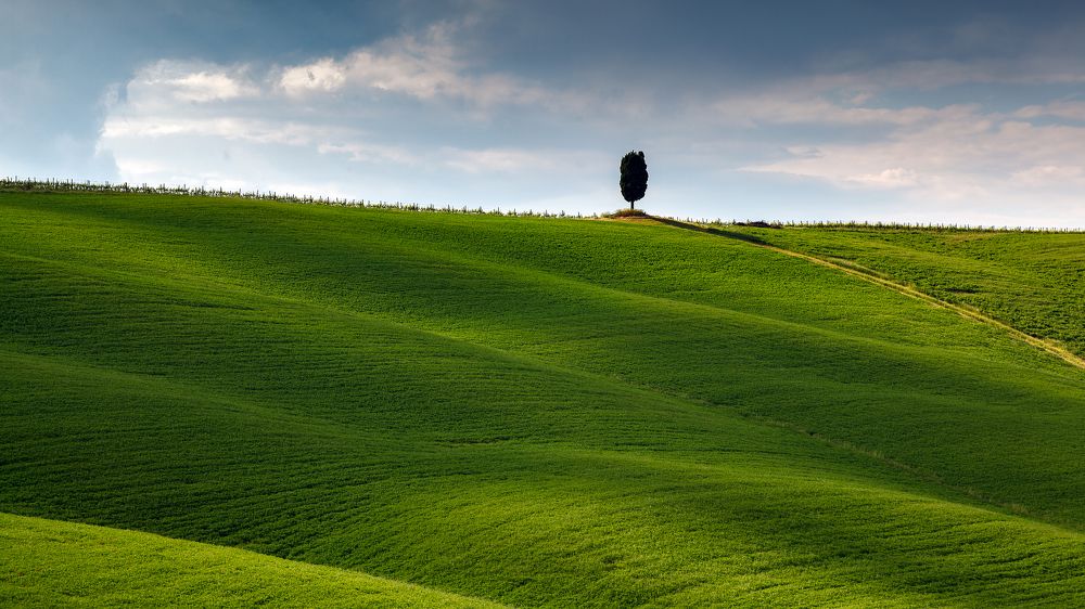 Photograph by Игорь Соколовский