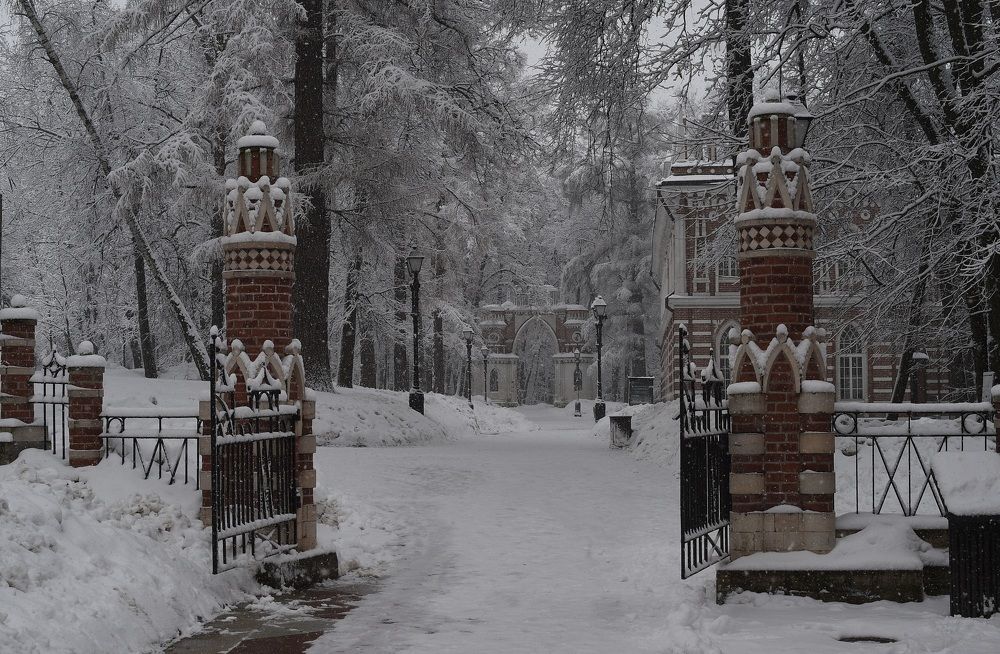 Photograph by Михаил Гущин