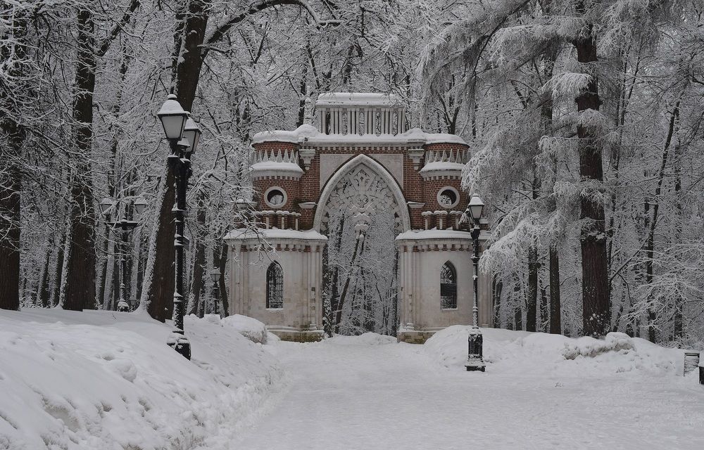 Photograph by Михаил Гущин