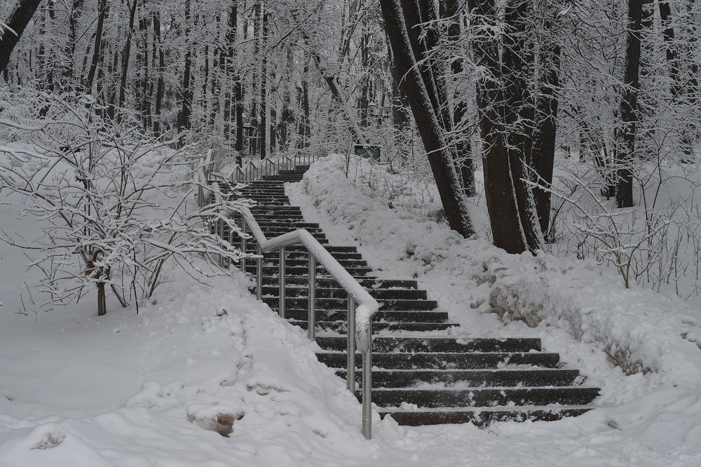 Photograph by Михаил Гущин