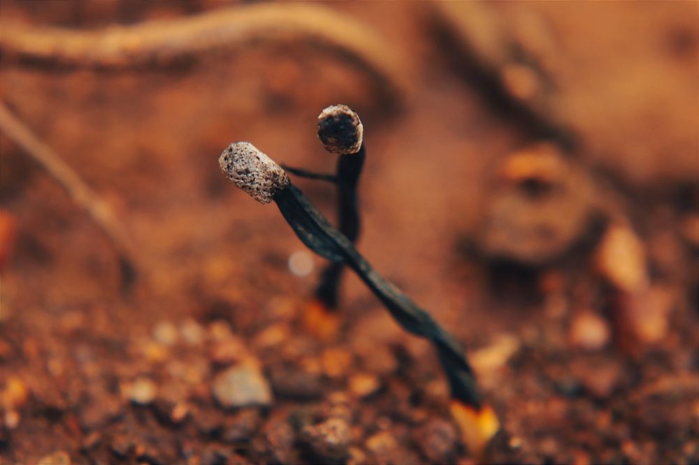 Photograph by Márcio Silva