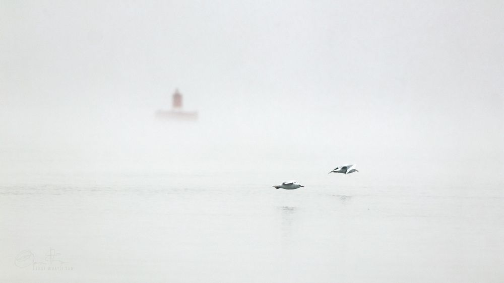 Photograph by Laurentiu Lupascu