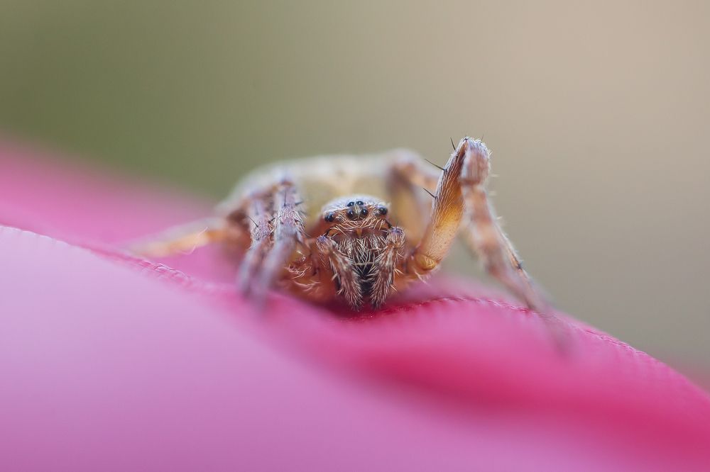 Photograph by Виктория Мамаева