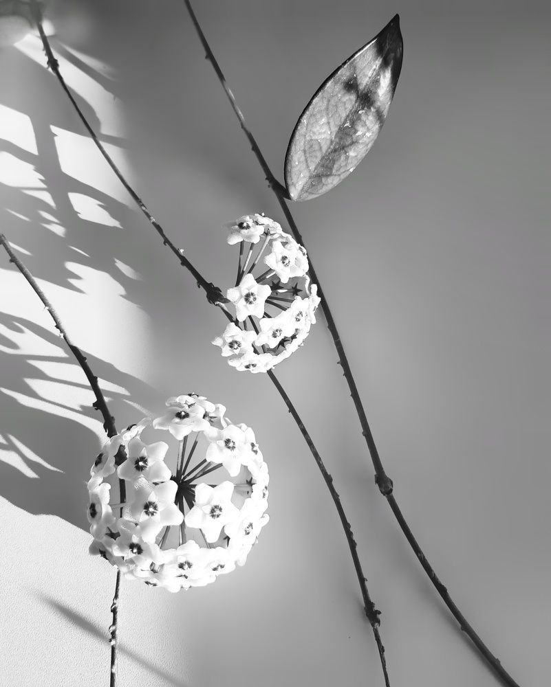 Фотография автора Olga Kunakova