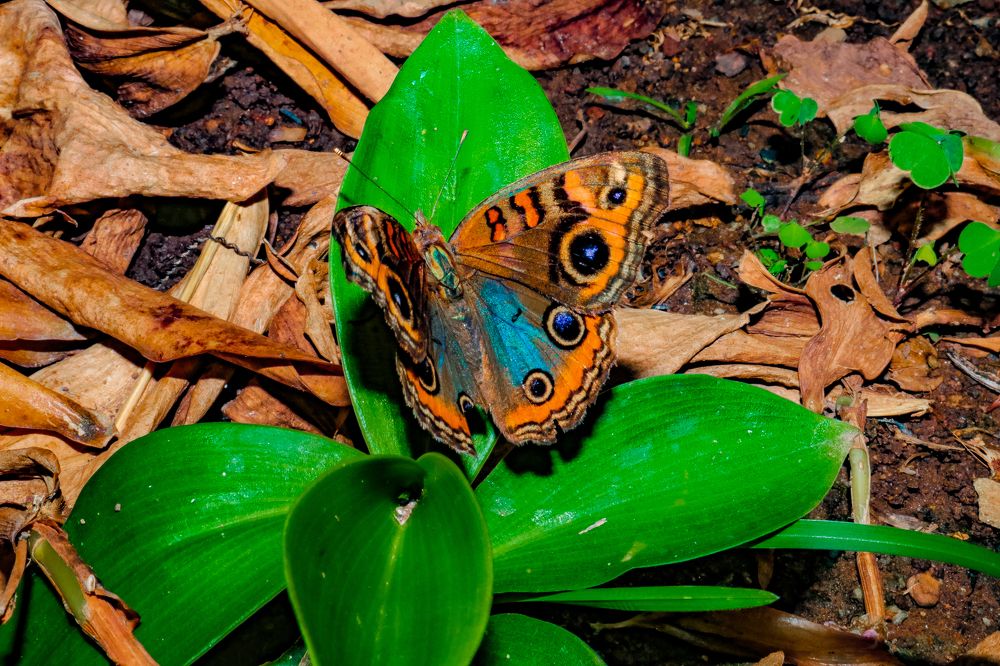 Photograph by Márcio Silva