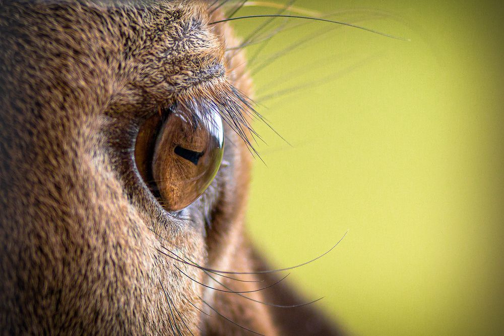 Photograph by Laurentiu Lupascu
