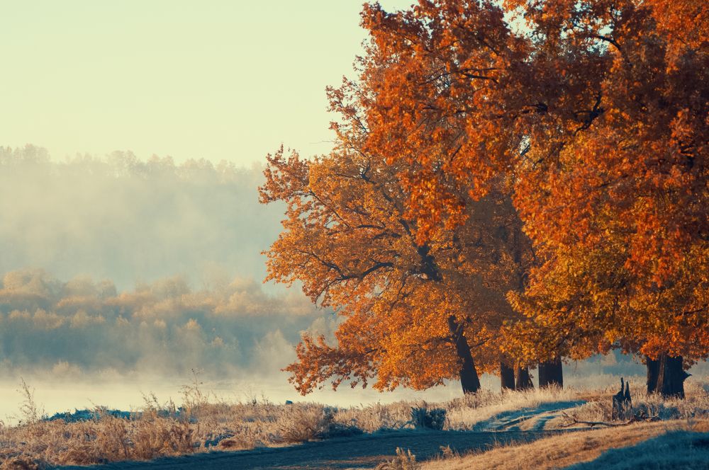 Photograph by Артём Аниськин