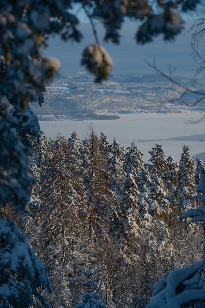 Фотография автора Anna NovaLova