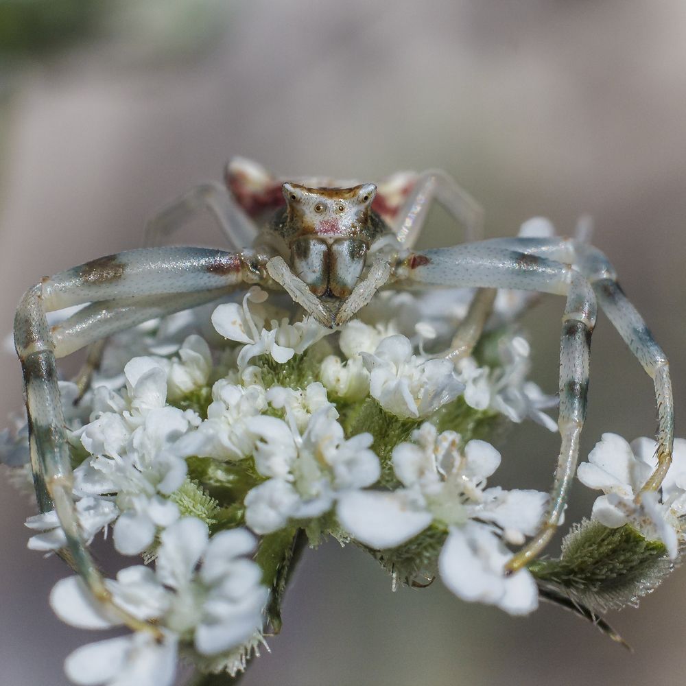 Photograph by Laurentiu Lupascu