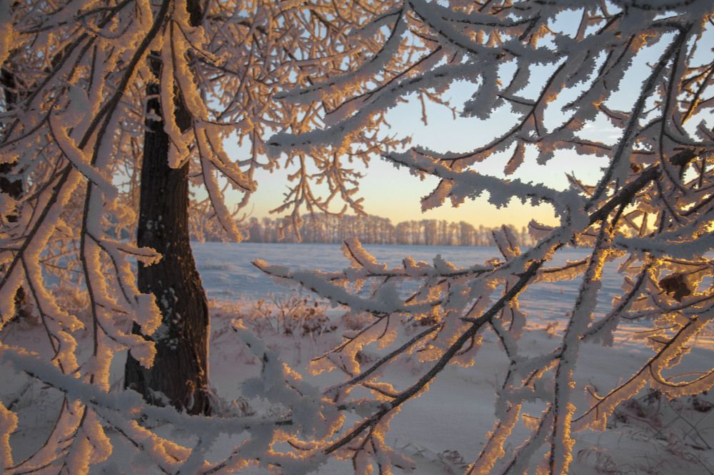 Утренний свет...