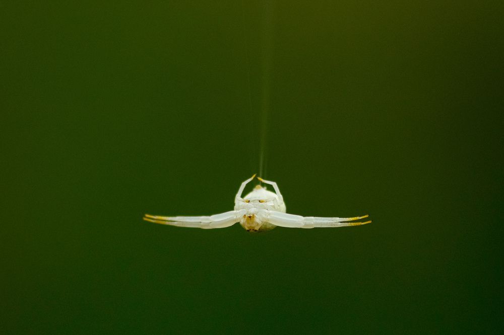 Photograph by Laurentiu Lupascu