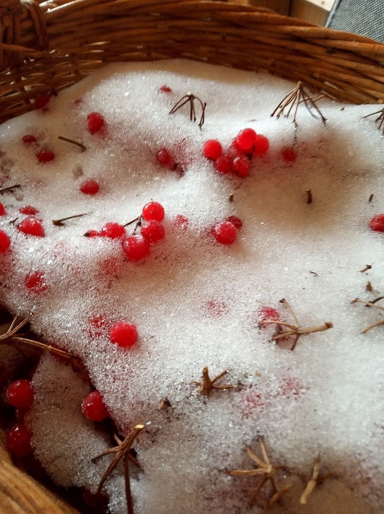 Фотография автора Ольга Малкова