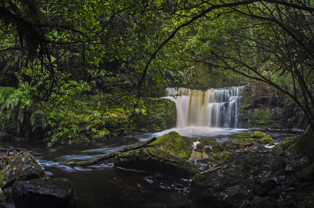 Photograph by Игорь Чупин