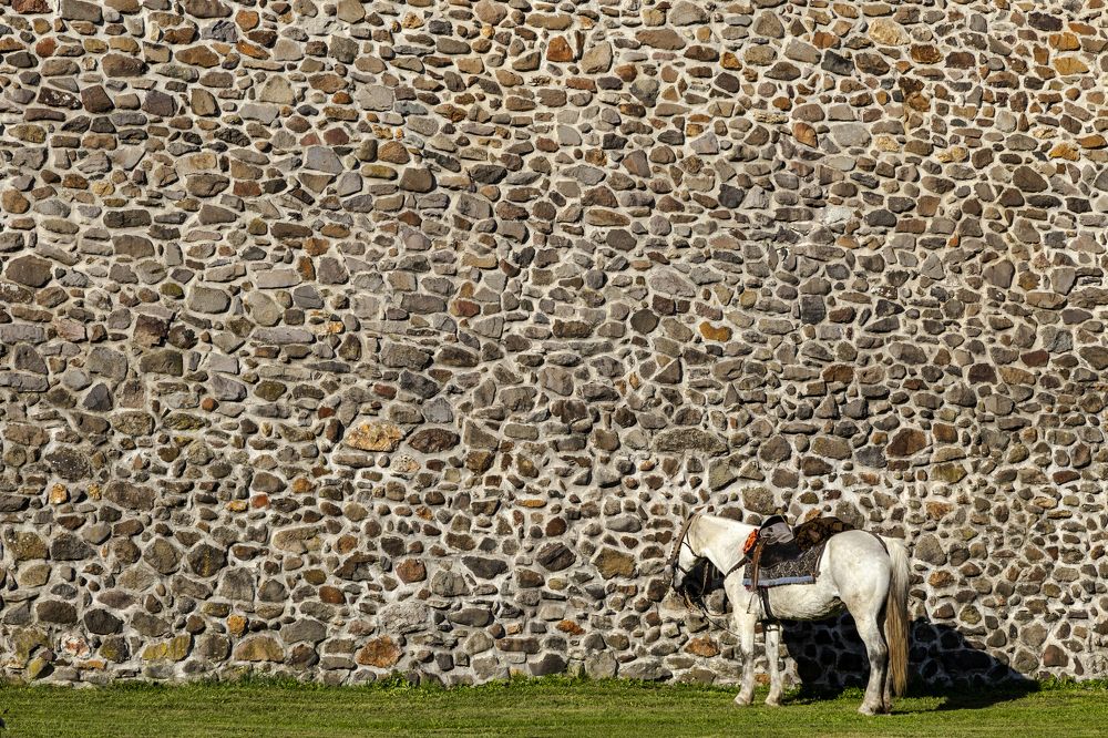 Фотография автора Andrej Levius