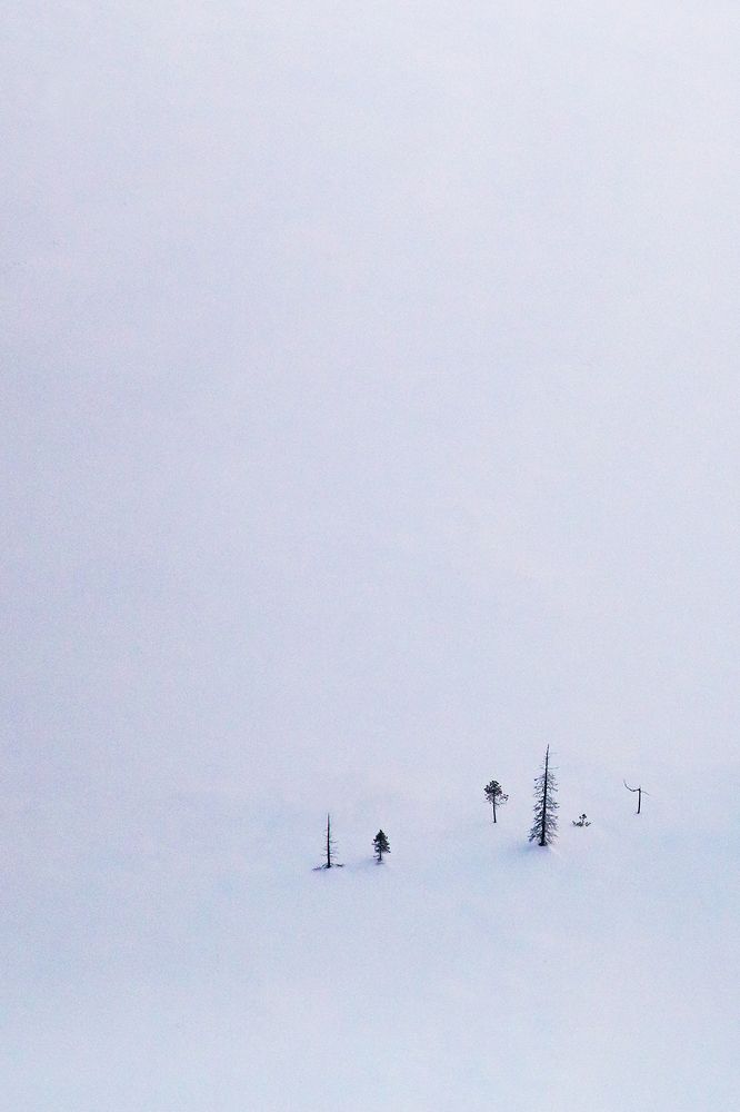 Photograph by Сергей Чарушин