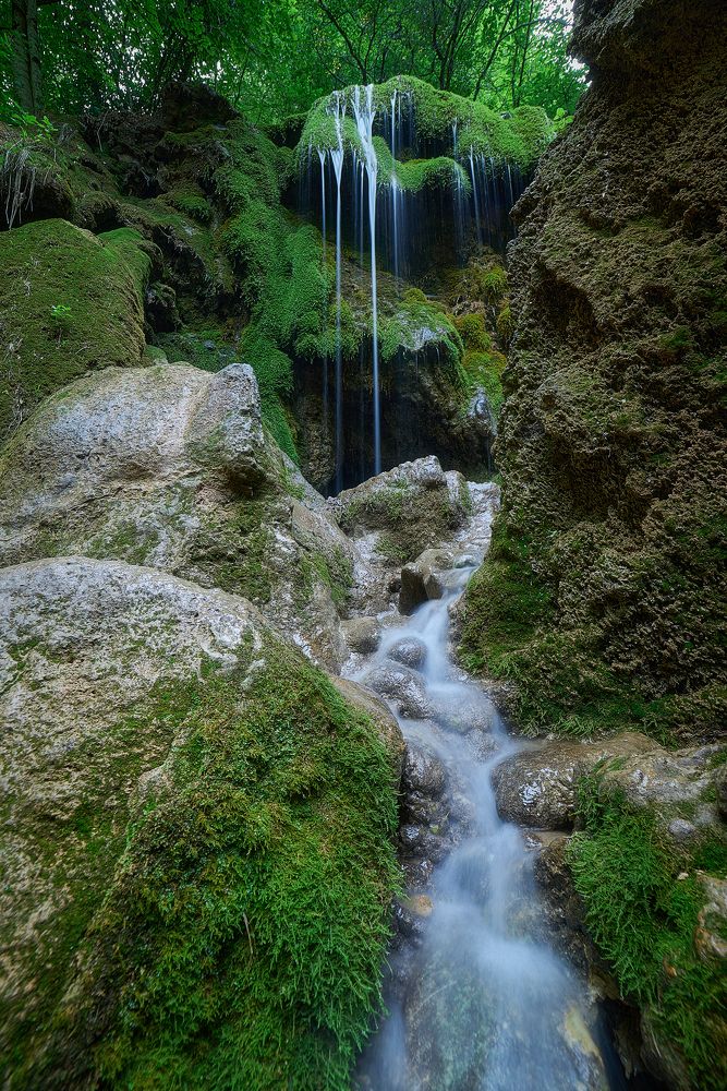 Photograph by Aleksandr Chekhonin