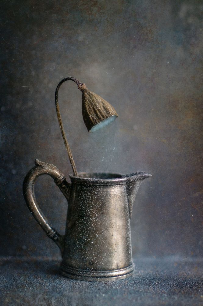 Photograph by Svoboda Andreeva