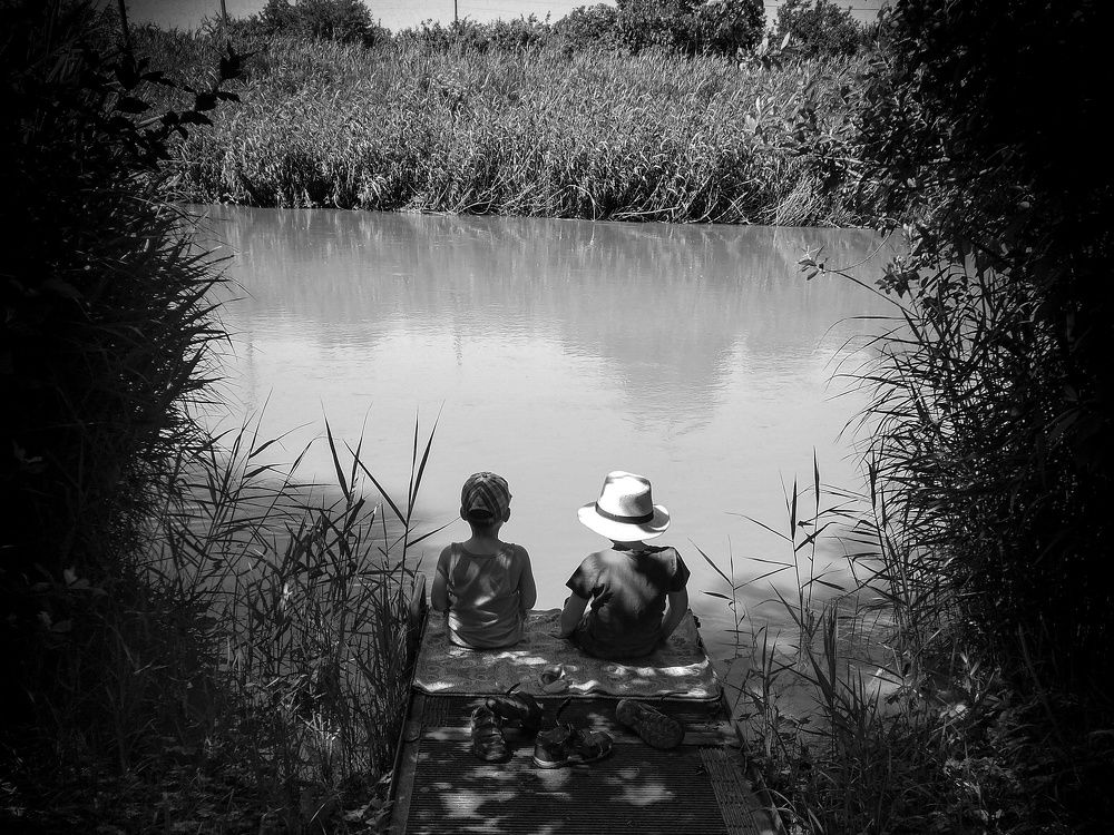 Photo #7133274