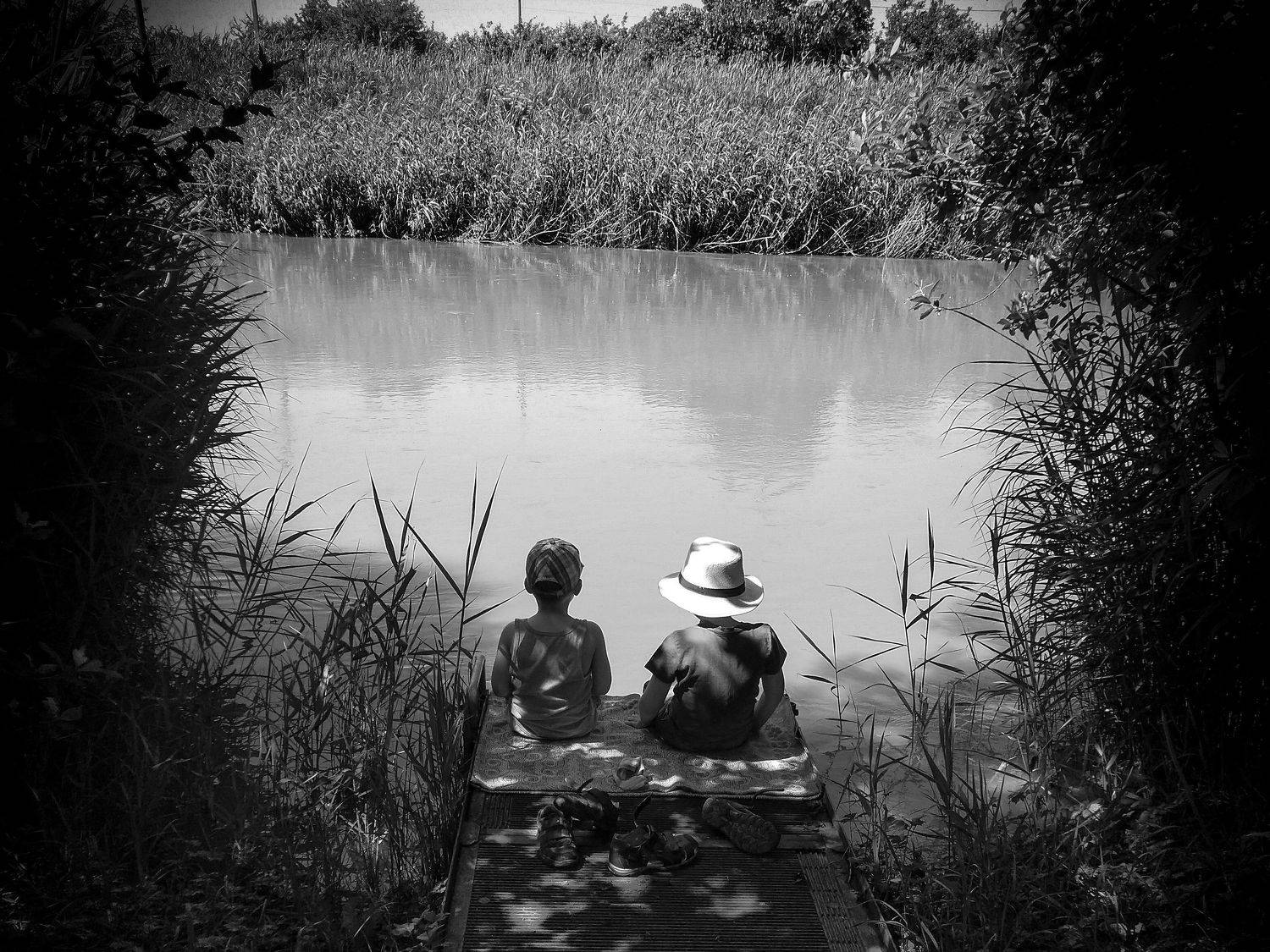 Photo #7133274