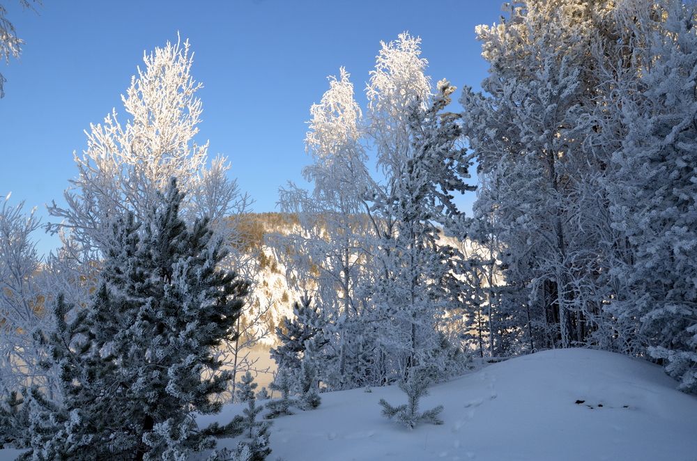Photograph by Походенко  Галина Васильевна