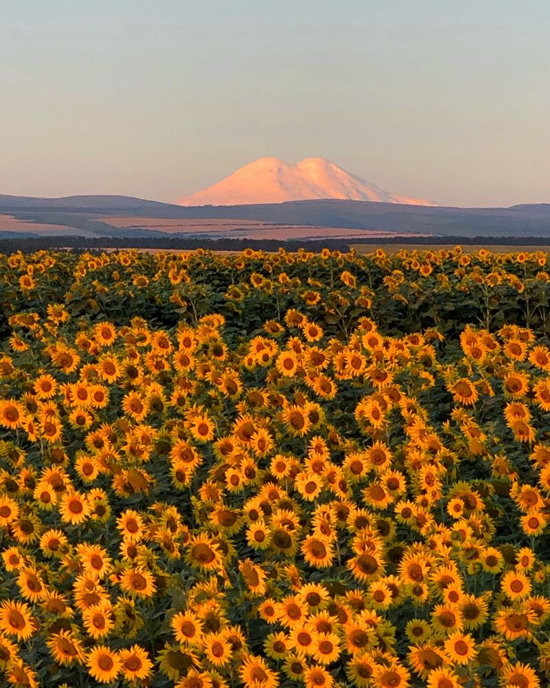 Photograph by Артём Мелетов