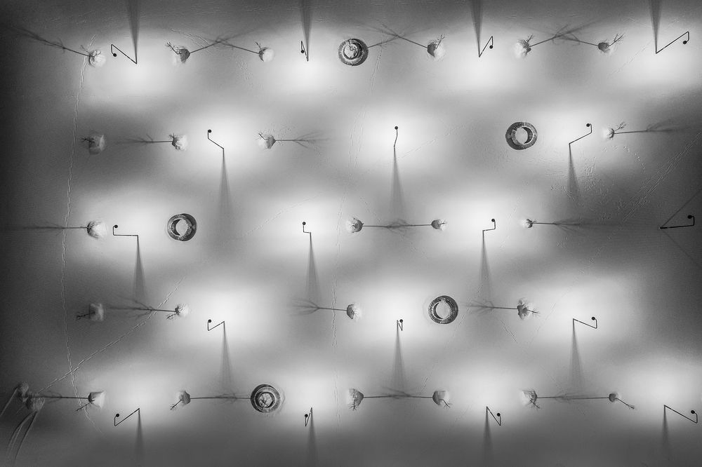 Photograph by Константин Ившин