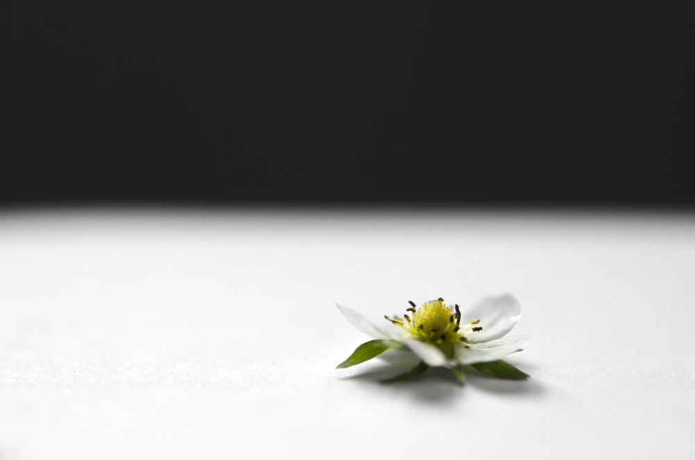 Photograph by Марина Жиделева