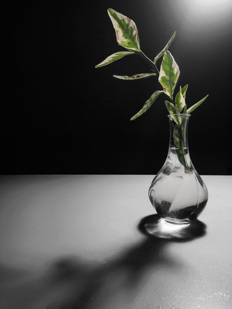 Photograph by Марина Жиделева