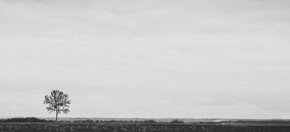 Фотография автора Юлия Капустинская