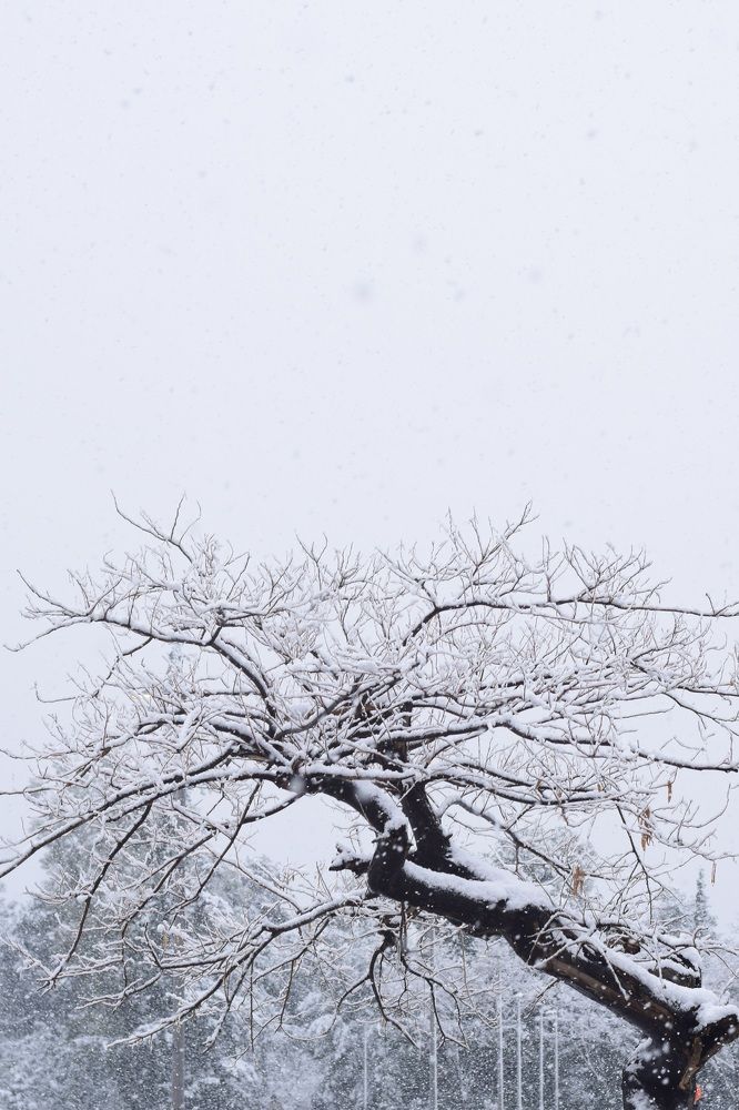 Photograph by Eleni Keta