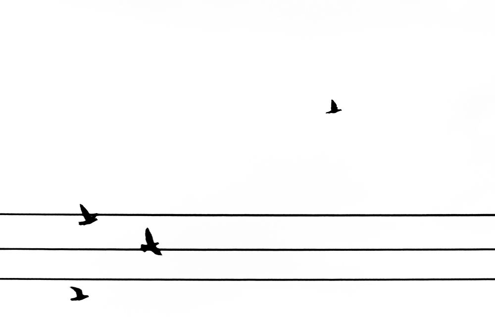 Фотография автора Carrazana Ernesto