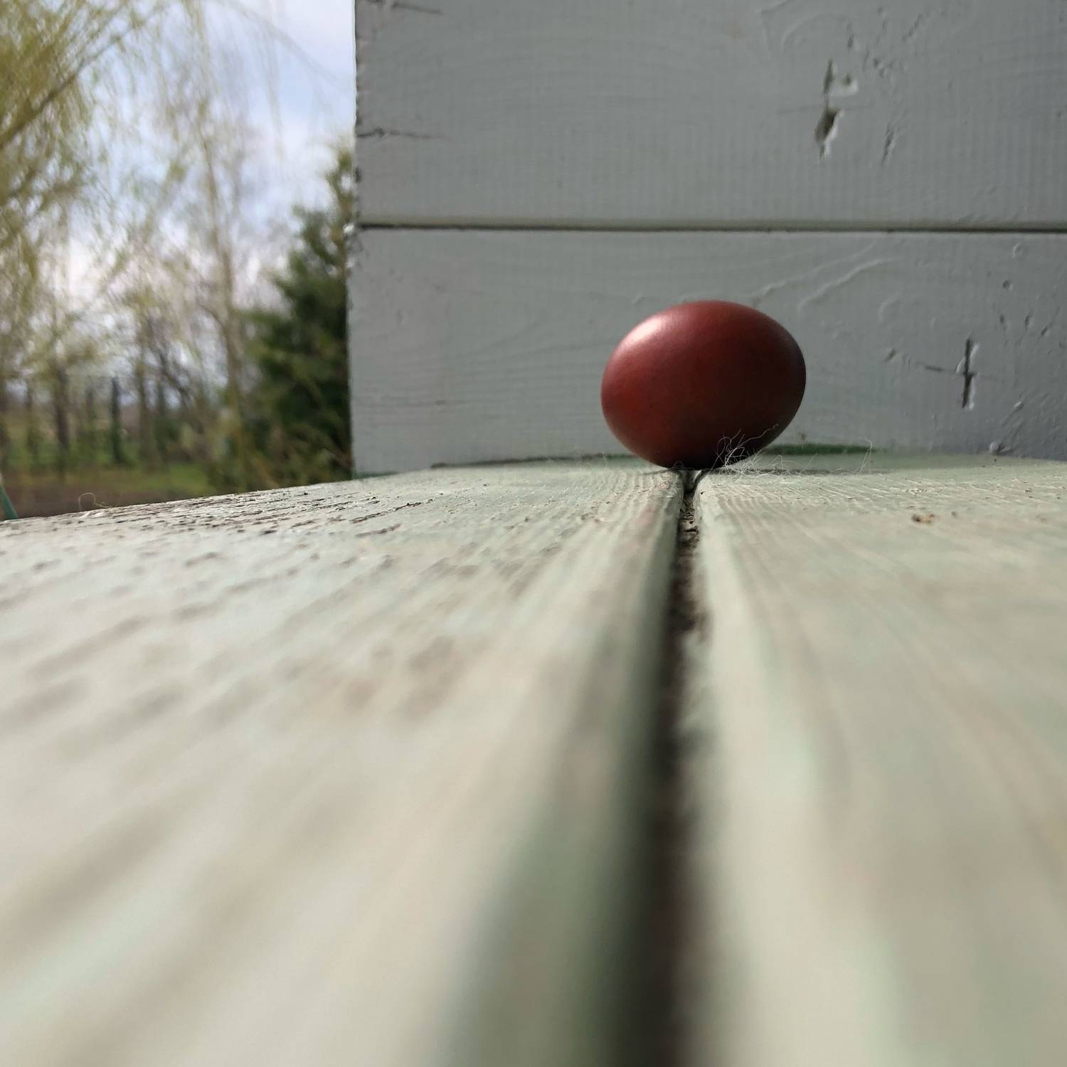 Photo #7133401