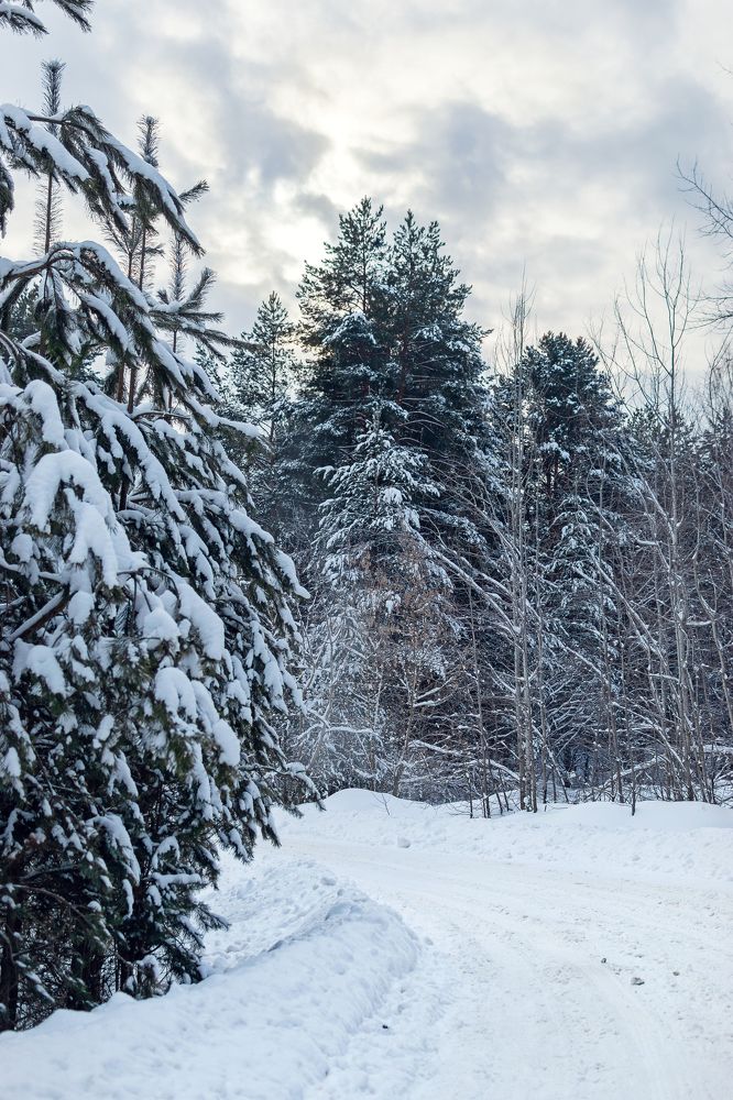 Photograph by Ирина Лапина