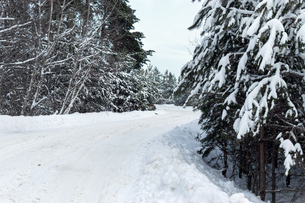 Photograph by Ирина Лапина