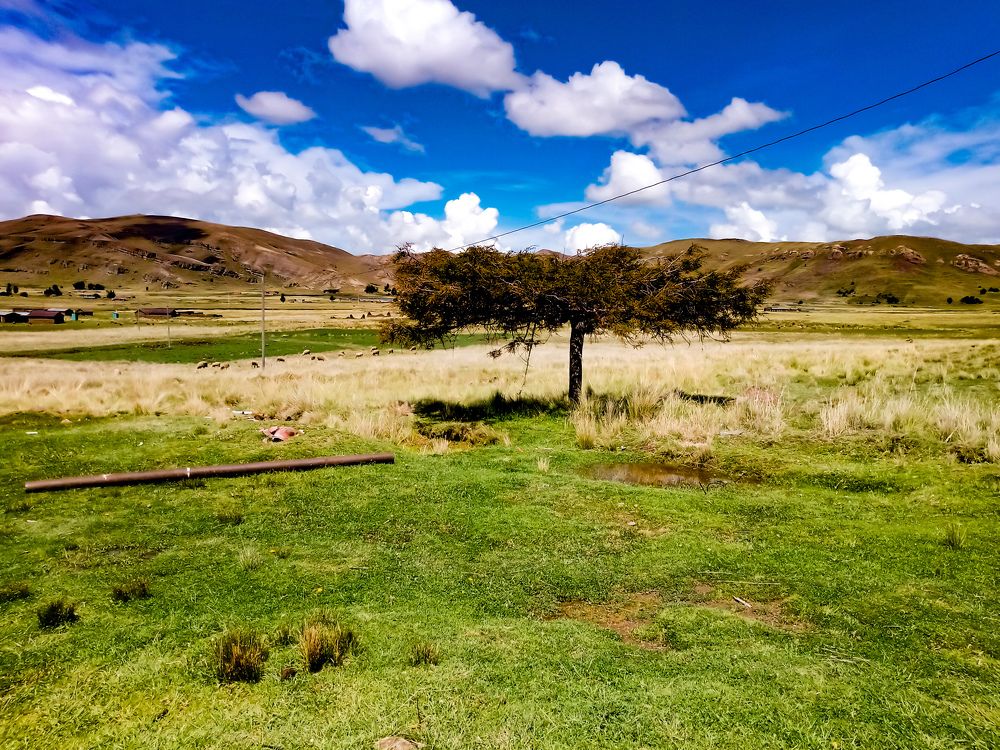 Photograph by Omar Marmanillo Prado