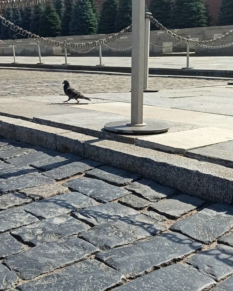 Photograph by Светлана