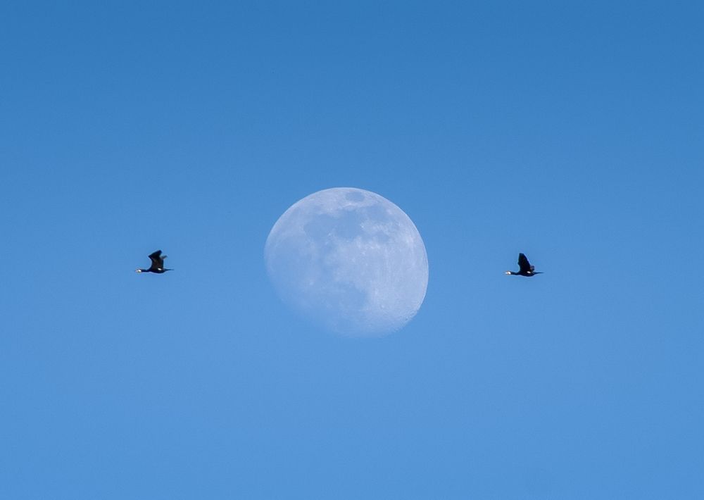 Photograph by олег кирюшкин