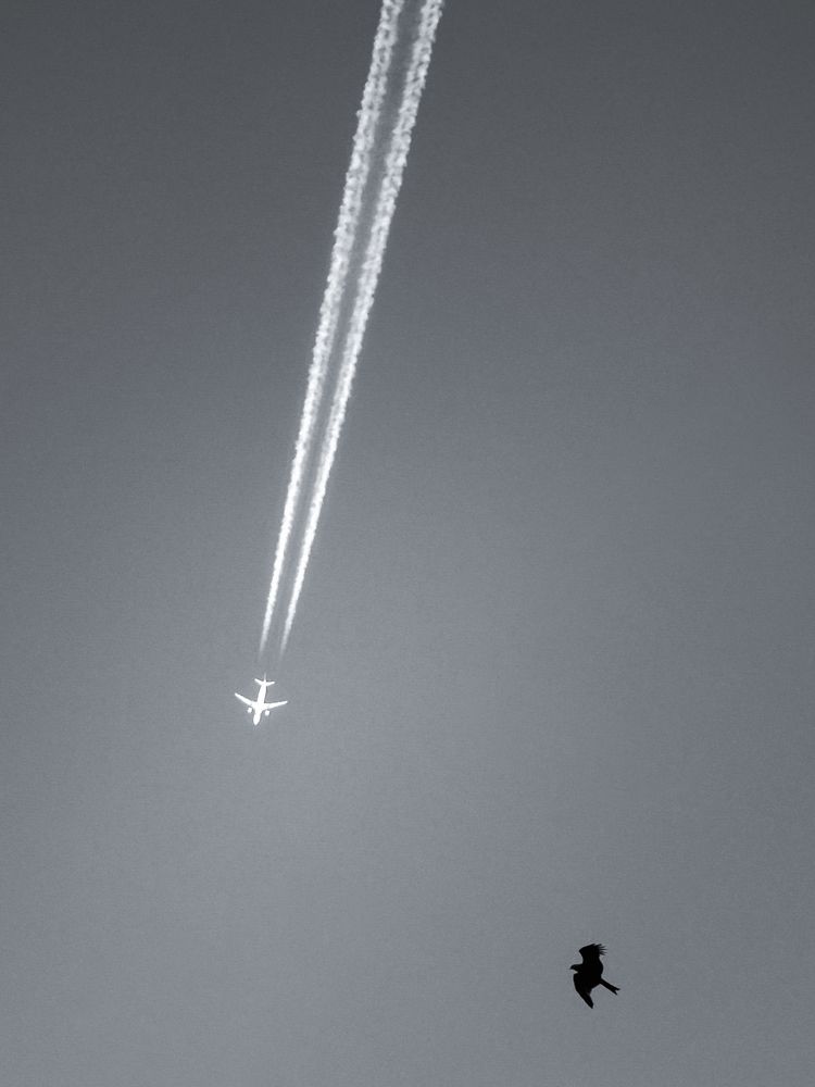 Photograph by олег кирюшкин