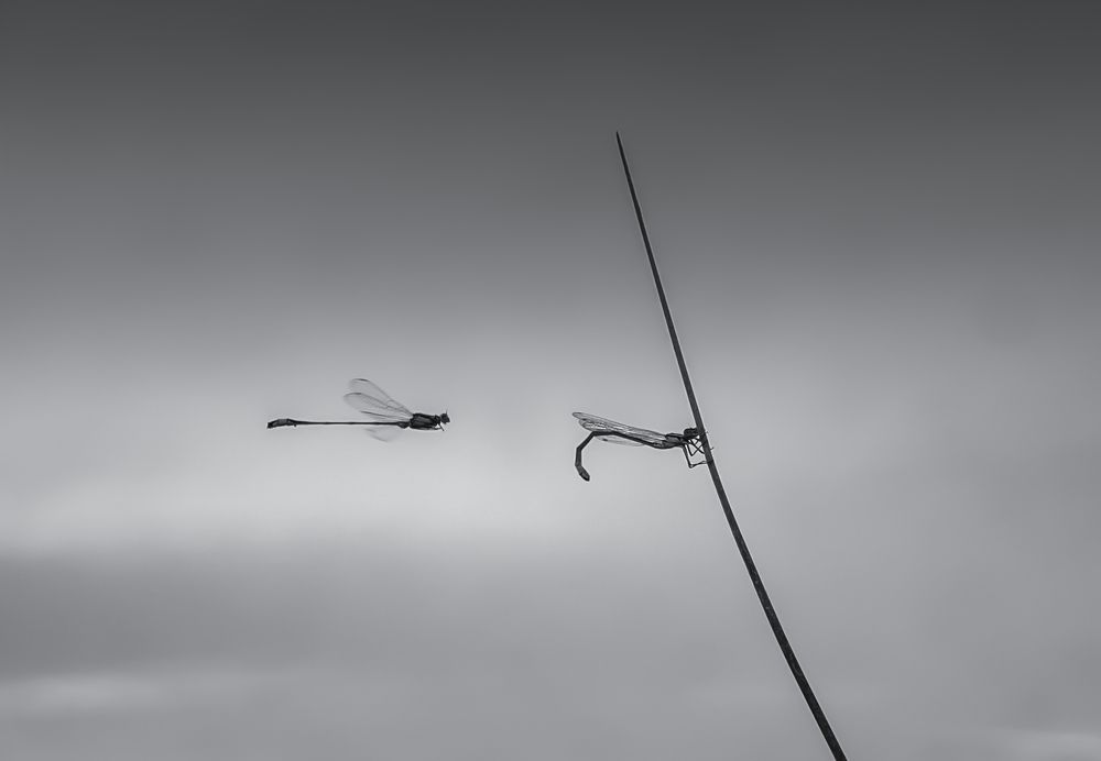 Photograph by олег кирюшкин