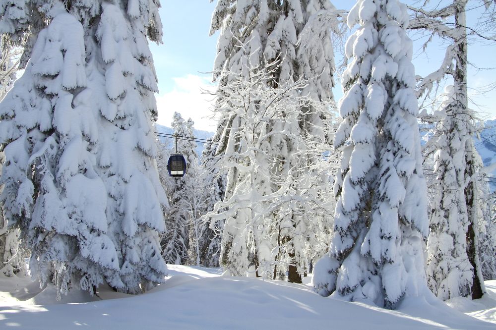 Красная Поляна.