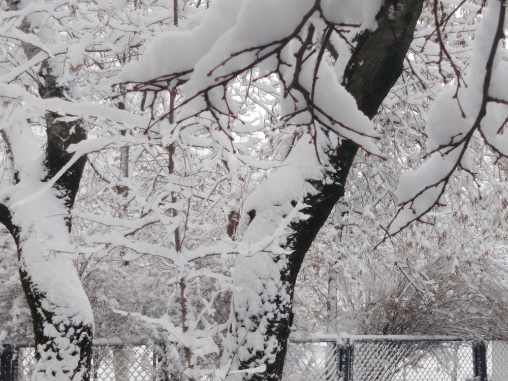 Photograph by Владимир Николенко