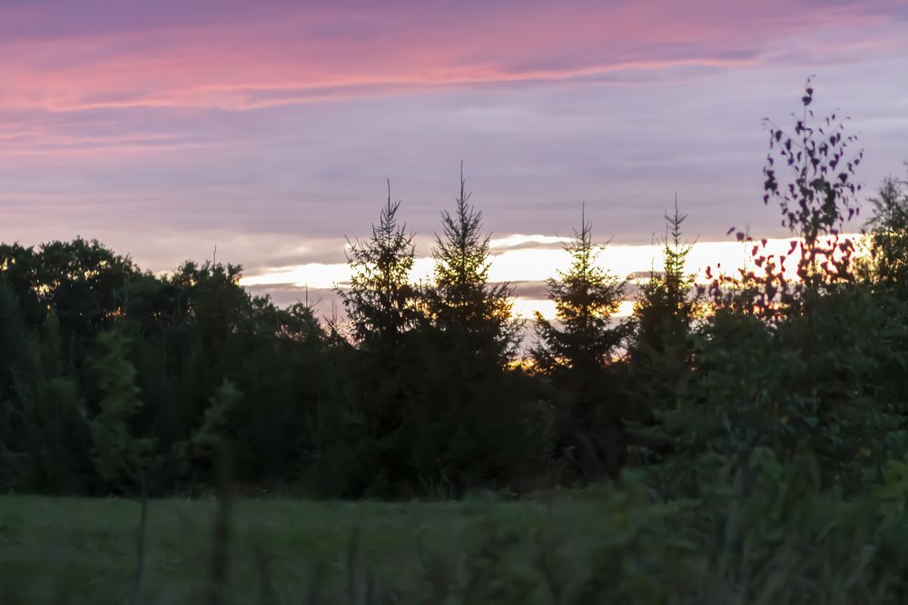 Photograph by Olga Strogonova