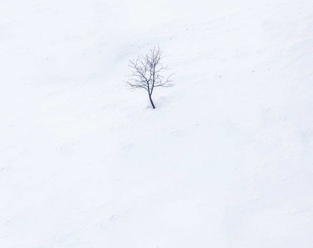 Фотография автора Eddie Lee