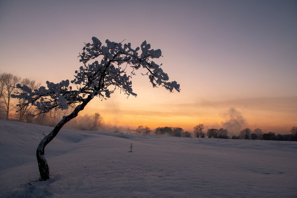 Photograph by Сергей Шерстнев
