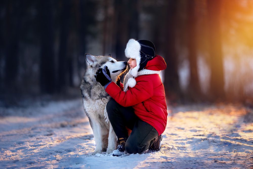 Photograph by Мария Ратушная